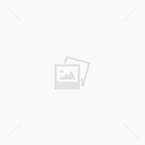 משפחת Z – נס ציונה